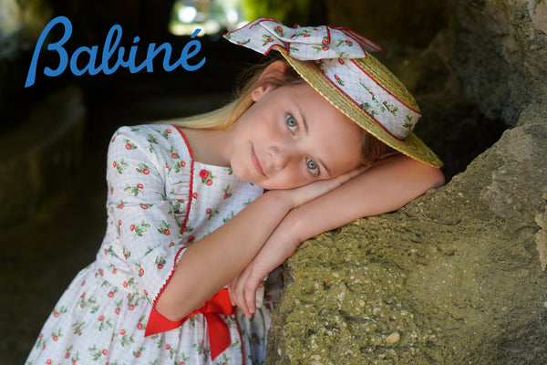 2622840 BABINE